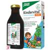 SALUS HAUS Gmbh & Co KG KINDERVITAL FRUITY 250ML