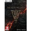 Bethesda The Elder Scrolls Online: Morrowind (PC DVD) [Edizione: Regno Unito]