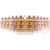 ZEVOFIUR BB Pigment Glow Serum Starter Kit all'acido ialuronico Essence Foundation Kit per la cura della pelle da 10 ml, 12 pezzi combinati con niacinamide e peptidi per illuminare il tono della pelle