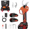 Fanmuran Forbice Potatura a Batteria 40mm Cesoia da Potatura Elettrica Cesoia a Batteria Ricaricabile Professionale per Giardinaggio Albero 21V (21V-2Ah)
