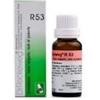 Dr. Reckeweg & Co. Gmbh Reckeweg R53 Gocce 22 Ml