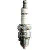 RMS CANDELA CHAMPION L81Y (BP7HS) - L81Y
