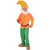 viving - Costume Nano Cappello, Barba, Casacca, Cintura, Pantaloni E Sopratutto Taglia 7-9 Y (1)