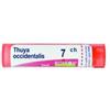 BOIRON SRL THUYA OCCIDENT 7CH GR
