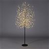 EDG Enzo De Gasperi Faggio Albero di Natale Luminoso con 1300 LED Nero 210cm Metallo