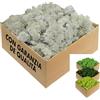 GJS Muschio stabilizzato 4kg/1kg/500g/200g - vero muschio decorativo naturale vivo conservato (finto lichene slandese) - colorato in modo diverso (Bianco, 1kg)