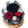Touloube Rosa Stabilizzata Vera Regalo per la Festa Della Mamma per Donne Mamma Moglie, Avanzate Regalo Donna, Rosa Eterna Fiore Bella e la Bestia con Luci LED, Anniversario Regalo Rosa Moglie Nonna, Nero