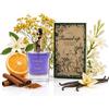 France Parfums Concept - Found Up - Eau de Parfum da donna - Fragranza floreale