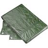 Meister Sunflower FLOR80445 Telo di Protezione, 3 x 4 mt, 80 g