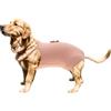 CAPASTEC Pannolini Lavabili Riutilizzabili per Cani Piccoli E Medi 1Pc