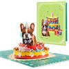 DLYMXGC Biglietto di auguri pop-up con bulldog francese, ideale come regalo d'amore per adulti e bambini, con note e busta, pieghevole, per figlia, figlio, mamma, papà, amici, bambini