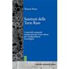 Bremen University Press Sostituti delle Terre Rare: I materiali compositi nanostrutturati come chiave per l'indipendenza tecnologica