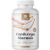 MycoWay Cordyceps Sinensis 1400 mg - Estratto 10:1-180 Capsule | Supporto naturale per l'energia e la vitalità - Fornitura per 3-6 mesi - Fungo della longevità - Tradizione erboristica