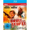 Pidax Film- und Hörspielverlag Brüll den Teufel an (Zwei wie Hund und Katz) (Shout at the Devil) / Spektakulärer Abenteuerfilm mit Lee Marvin und Roger Moore (Pidax Film-Klassiker)