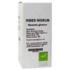 OTI Srl RIBES NIGRUM MG Gtt 100ml Oti