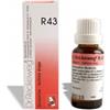 DR.RECKEWEG & CO. GmbH Reckeweg R43 Gocce 22ml - Medicinale Omeopatico per l'Asma