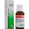 DR.RECKEWEG & CO. GmbH Reckeweg R53 22ml Gocce - Rimedio Omeopatico per Patologie della Pelle