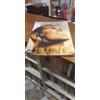 SHAZAM IL POTERE DELLA SPERANZA DINI ALEX ROSS