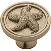 Franklin Brass Seaside Cottage Starfish (confezione da 5) pomelli per armadietti in bronzo champagne pomelli per cassetti da cucina pomelli per cassettiere e pomelli rotondi per armadio da 4,7 cm