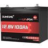 Dumfume Mini 12V 100Ah Batteria al Litio LiFePO4, BMS 100A Integrato, 1280Wh 15.000 Cicli, Durata di Vita 10 Anni, Batteria Solare per Camper, Sistema Solare