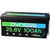 Dyness Batteria Litio LiFePO4 24V 100Ah con 100A BMS e Protezione Bassa Temperatura, Batteria 24V per Fotovoltaico Accumulo, Barche da Pesca Bass, Sistemi di Energia Rinnovabile, Camper (RV), Off-Grid