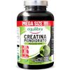 Equilibra Creatina Monoidrato 3000mg, 180 Compresse, Scorta 2 Mesi | Ideale per il Pre Workout, per Uomini e Donne con una vita attiva, Senza Glutine, Lattosio e Coloranti, adatto ai vegani