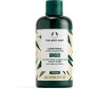 The Body Shop Ginger Scalp Care Conditioner FOR DRY SCALP & WEAK HAIR, Latest Design VEGAN (Ginger Conditioner 250 m