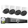 SANNCE Kit Telecamere Videosorveglianza PoE, 6MP NVR 8 Canali con 2TB HDD e 4 Telecamere Esterno IP 5MP, Visione Notturna Infrarossa 30m, Rilevamento Intelligente Persone/Veicoli, Registrazione 24/7