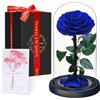 Touloube Festa della Mamma Rosa Stabilizzata Vera Regalo Donna in Cupola Vetro - Regalo di San Valentino, Donna Regalo Compleanno, Rosa Eterna Idee Regalo Mamma Moglie Fidanzata Nonna, per Anniversario