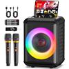 HWWR Canta tu Karaoke 2026, Sistema Karaoke con 2 Microfoni, 120W Cassa Bluetooth 5.3 Portatile con luci LED, Sistema PA, Ideale per Feste in Casa e Come Regalo per Adulti/Bambini