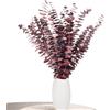 Aufisi Decorazione di eucalipto Aufisi - 22 pezzi di eucalipto essiccato (43 cm+), eucalipto essiccato per decorazione, matrimoni, accessori per la casa, composizione floreale essiccata, rosso