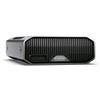 SanDisk Professional SANDISK G-DRIVE PROJECT HDD ESTERNO 22TB USB TIPO-C 3.2 GEN 2 THUNDERBOLT GRIGIO