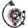 Yuecoom Statore di accensione, piastra dello statore del magnete, piastra dello statore del magnete e bobina adatta per LIFAN YX 140 cc Kick Start Engine PIT PRO Trail Dirt Bike