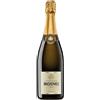 il Mosnel Az. Agricola MOSNEL 1836 Franciacorta Saten il Mosnel