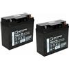 Quality Batteries Batteria di ricambio per APC Smart-UPS SUVS1400I RBC7 RBC 7 Batteria di marca con VdS