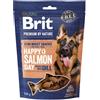 BRIT Premium Dog Semi-moist Snack Salmon 180 g snack semi-morbido per cani