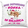 Vulfire Federa per Cuscino Nonna Speciale, Idea Regalo di Compleanno Originale, Frase Divertente, Non disturbare Nonna in ricarica Divano Letto - senza Imbottitura (40_x_40_cm)