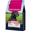EUKANUBA Senior Large Breeds Chicken 3 kg cibo secco per cani anziani di razze grandi ricco di pollo fresco