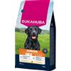 EUKANUBA Junior Large Breeds Chicken 15 kg cibo secco per cuccioli di grandi razze ricco di pollo fresco