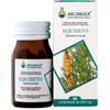 Arcangea Equiseto Integratore Alimentare 60 Capsule