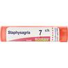 Boiron Staphysagria 7ch 80granuli