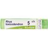 Boiron Rhus Toxicodendron 5ch 80 Granuli Contenitore Multidose