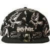 Difuzed Harry Potter - Logo Bianco e Nero (Con Visiera)
