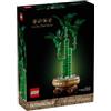 LEGO Botanicals - Bambu' Del Buon Auspicio