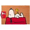 Don't Ask Why Zerbino Snoopy