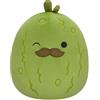Jazwares Peluche Squishmallows - Dill Pickle (20 cm)