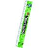 Franco Cosimo Panini Minecraft - Righello (18 cm)