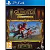 Warner Bros. Harry Potter Campioni di Quidditch