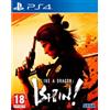 Don't Ask Why Like a Dragon: Ishin!