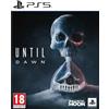 Sony Interactive Entertainment Until Dawn